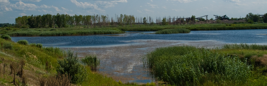 OLYMPUS DIGITAL CAMERA OLYMPUS DIGITAL CAMERA